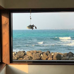 텔레스코프에서 포도호텔까지 제주 감성 숙소 6