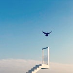 사진 찍기 딱 좋아! 하늘, 바다 배경의 ‘천국의 계단’ 카페 8