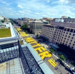 백악관 앞 워싱턴 DC 16번 스트리트의 새로운 이름 Black Lives Matter Plaza