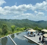 진짜 숲 속에 있는 카페들