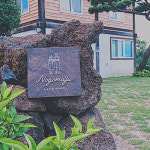 울창한 숲과 나무가 있는 시원한 산 숙소 7