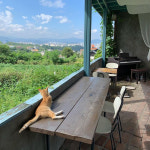 전망 좋은 곳을 찾는다면? 강원도 원주 길 카페 6