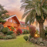 나무 위에서 자는 곳, #오두막 숙소 5