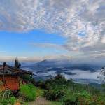 농장 체험이 가능한 국내 팜스테이 숙소 4