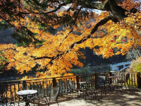 여기가 풍경맛집! 절에서 즐기는 전통찻집 4
