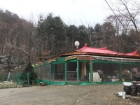 자연에 둘러싸인 전국의 산속 맛집 5