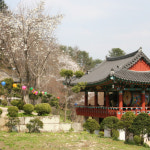 몸과 마음이 지쳤을 때 서울, 남양주, 동해 그리고 안동의 템플스테이 5