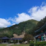 몸과 마음이 지쳤을 때 서울, 남양주, 동해 그리고 안동의 템플스테이 5