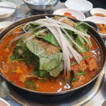 아기자기 조세호가 추천하는 압구정, 동대문, 화곡동 맛집 5