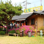 가평, 광주, 남양주, 원주에서 즐기는 속 편한 보리밥 맛집 4