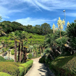 포토 스팟 천국! 거제도 풀 코스로 즐기기 5