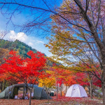 가을은 캠핑의 계절! 단풍 맛집 캠핑장 4