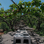 주말에 찾기 좋은 농장 카페 4