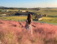 가을에 가기 좋은 핑크 뮬리 뷰 카페 5