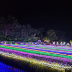 서울 근교 불빛 축제 명소 4