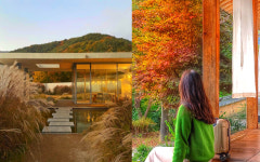 단풍뷰 감성 숙소 4