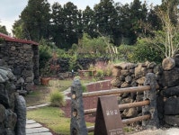 제주 귤밭 뷰 감성 독채 숙소 4