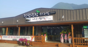 한국의 산티아고길 운탄고도! 맛집 4