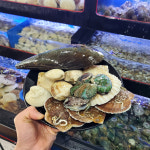 고기가 서비스로 나오는! 조개구이 무한리필 4