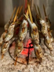 일본식 전통 화로 구이, 이로리야키 맛집 4