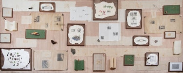 이강승, 베니스에 씨앗을 심다