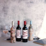 칠레 프리미엄 와이너리 비냐빅의 플래그십 보틀들을 만나다