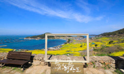 바다 위 치유정원  청산도 슬로걷기 축제에서 힐링하세요!