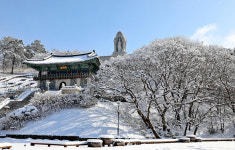 【포토 포인트】 송금면 작가의 겨울 파노라마-2편