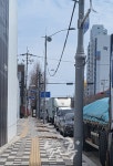 SK에코플랜트(주) 하도업체...가로수 36그루 절단