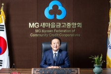 전 금고 자체 점검?, 새마을금고중앙회 실효성 의문