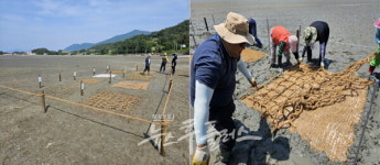 한국식생매트공업협동조합, 염생식물 시범 시공 완료