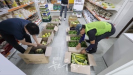 한강공원에서 재배한 농산물145kg 푸드뱅크에 기부