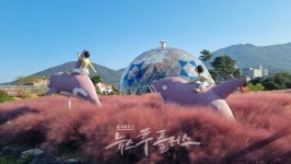 섬마을의 가을과 문화가 펼쳐지는 거제섬꽃축제