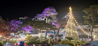 빛과 문화가 공존하는 거창 크리스마스트리 문화축제