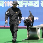 소방청 중앙119구조본부…119구조견 대형‧특수재난 현장 활약상 소개