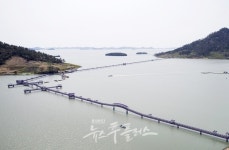 보라색 컬러마케팅 활용한 관광명소 신안 퍼플섬