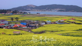 장흥 선학동마을, 유엔 관광청 최우수 관광마을 한국 후보 선정