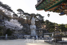이달의 충남 첫 번째 주인공... 논산의 매력을 한눈에!