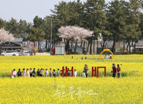 관광 트렌드를 이끄는 색다른 강원을 만나다!
