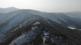 충남, 전국 첫 도립공원 깃대종 지정…생태 보전 새 이정표