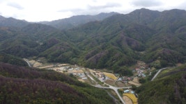 울진 금강송 산지농업, FAO 세계중요농업유산 등재