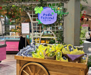 충북농업기술원, 포도 페스티벌서 신품종 포도·마늘 첫 선