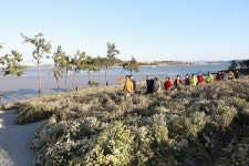 꽃과 행운이 만나는 섬 축제, 2025 아자니아 꽃 축제