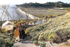 꽃과 행운이 만나는 섬 축제, 2025 아자니아 꽃 축제