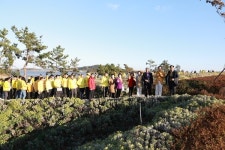 꽃과 행운이 만나는 섬 축제, 2025 아자니아 꽃 축제