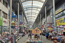 김장철 장바구니 비상… 수산물 반값·이력제 강화로 물가 방어 나서