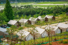 고창 상하농원, 2025 한국관광의 별 수상… 지역상생 관광모델로 주목