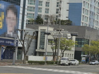 목포 선거캠프 앞 가로수만 싹둑… 형평성 무너진 눈치보기 행정 논란