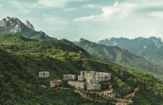 리조트 파라스파라 서울, 숲 테마 패키지 2종 선보여