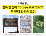 KB금융그룹, 식목일 맞아 경북 울진에 K-Bee 프로젝트 두 번째 밀원숲 조성